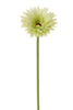 Gerbera l58cm grün