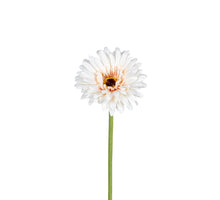 Gerbera 58cm beige