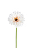 Gerbera 58cm beige