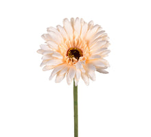 Gerbera l58cm lachsfarben