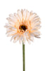 Gerbera l58cm lachsfarben