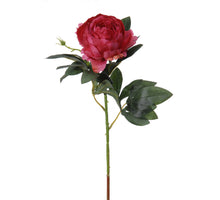 Pfingstrose l60cm cerise