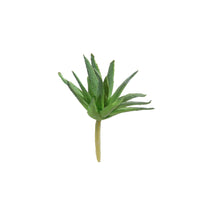 Agave Pick Mini 9cm grün
