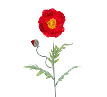 Papaver l74cm rood