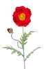Papaver L74cm rot