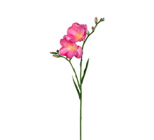 Freesie l68cm rosa
