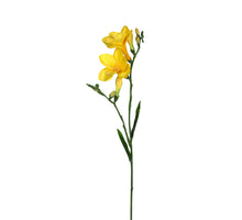 Freesie l68cm gelb