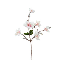 Magnolie L63cm creme/rosa