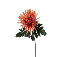 Chrysant l62cm oranje