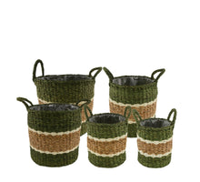 Set/5 Basket round seagrass with plastic 38x38x36cm Green/White