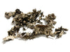 Flechten 'Black moss' 250g Natur