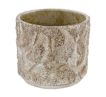 Pflanzgefäß Zement 16x16x14cm Antik Grau