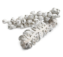 Cacho Coco (halb) Frost. weiß 60-70cm