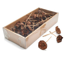 Kokosblüte natürlich 55 Stück auf 10cm Stick