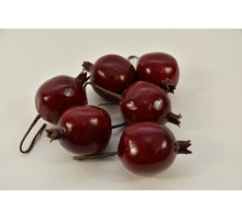 cb. 24 Apfel/Draht 9 cm glänzend