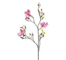 Ranonculus Azura fuchsie 48cm