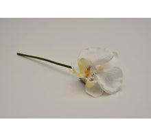 Smooth XS cream phalaenopsis pick 26cm RT