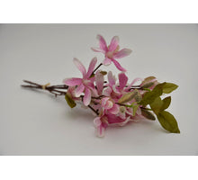 Magnolia bundle x3 pink 45cm