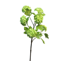 Sedum Spray dunkelgrün 61cm