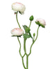 Delphinium Agathe blue 85cm
