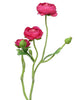 Anethum spray gelb 68cm