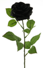 Rosa Dijon schwarz 64cm