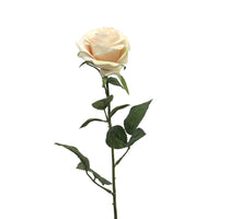 Rosa Dijon hellrosa 64cm