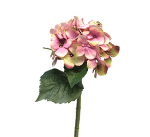 Hortensie Artist dk pink 48cm
