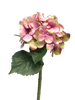 Hortensie Artist dk pink 48cm