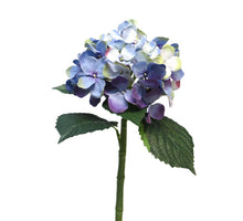 Hortensie Artist blau/lavendel 48cm