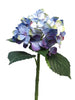 Hortensie Artist blau/lavendel 48cm