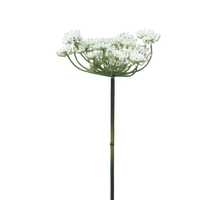 Queen Anne Spitze grün 72cm
