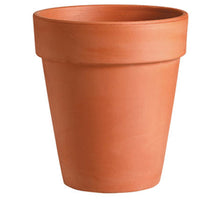 Mokka Untertasse Sottovaso D11 H2 cm