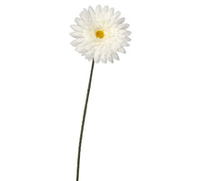 Gerbera weiß - 64 cm