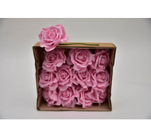 Elegante Rosen - s'pink 8 cm - wbx 12 Stück