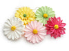 Hängeblume 'Parade' 5er-Set, sortiert, 30cm