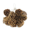 Pinecone 200gr nature 13x13x9cm Natural