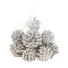 Pinecone 200gr nature 13x13x9cm Snowy White