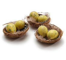 Vogelnest 