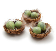 Vogelnest 