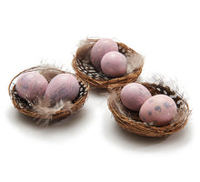 Vogelnest 
