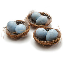 Vogelnest 