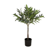 Baum Oliven künstlich 40x60x75cm Olivgrün