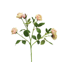 Afrikanische Blume grün 23cm