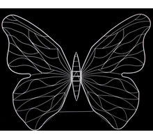 Schmetterling 'Atlas' Metall weiß 231x162cm