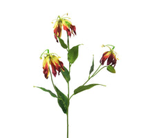 Gloriosa Michelle bordeauxfarben 84cm