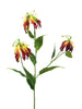 Gloriosa Michelle bordeauxfarben 84cm