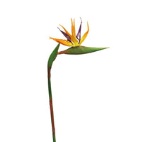 Hängende sprengeri Busch grün 94cm