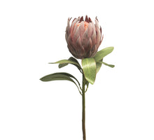 Blütenspritze creme 126cm