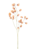 Kunstbloem "Blossom Fruit" m/champagne kleur steel peach 104cm